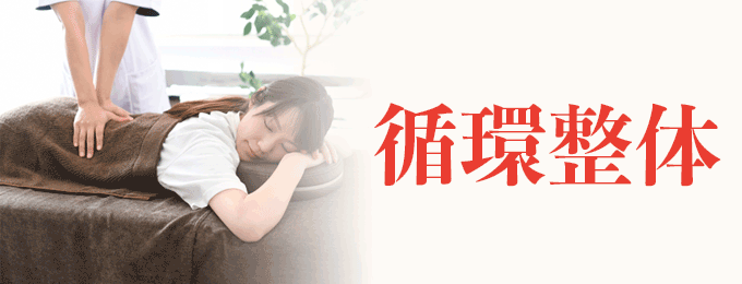 循環整体はこちら
